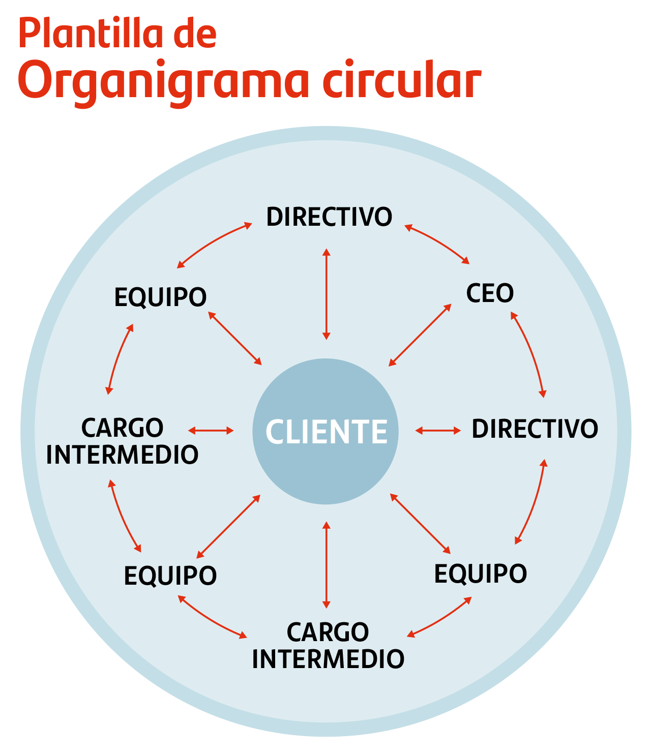 Total 65+ imagen modelo de organigrama circular